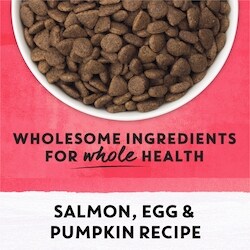 ドッグフード hime Purina Beyond Superfood Blend Wild Caught Salmon, Egg & Pumpkin
