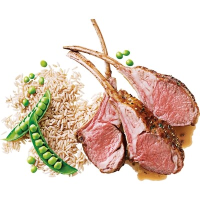 Nourriture pour chiens Nutrition première, agneau, riz brun et pois 