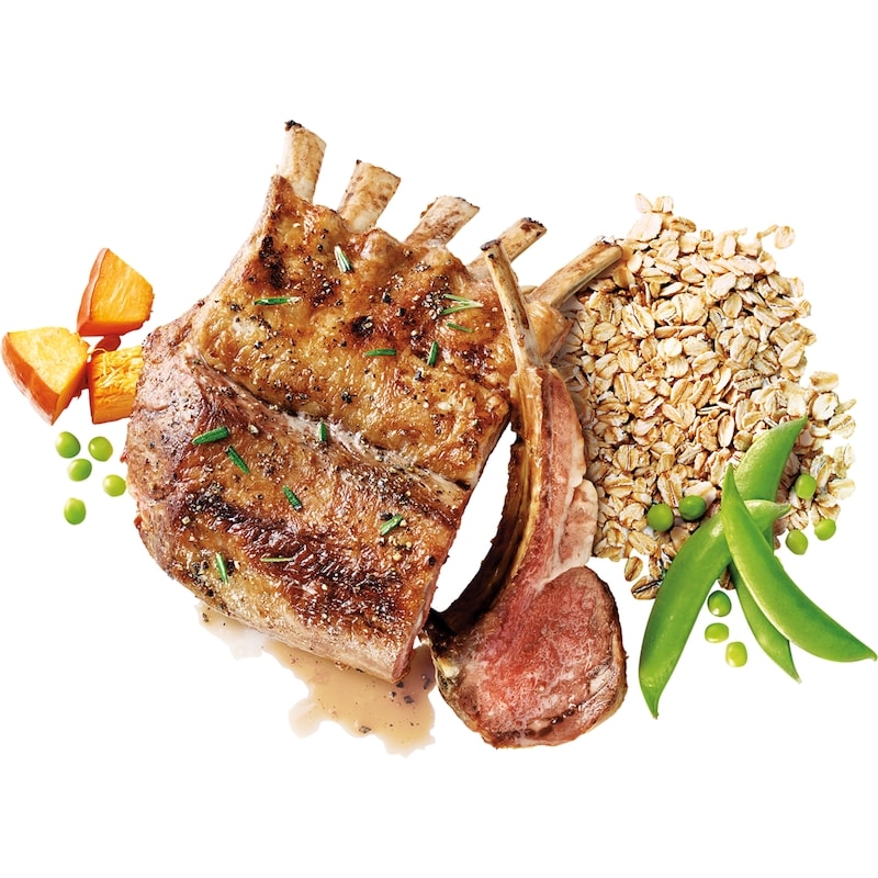 Nutrition First Sensitive Skin & Stomach Dog Food, Lamb, Oatmeal & Pea