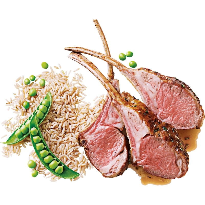 Nutrition First Dog Food, Lamb, Brown Rice & Pea