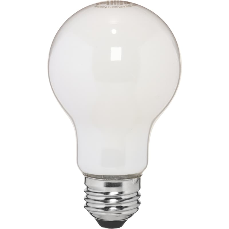 A19 Frosted Bulb Daylight Led 60 W