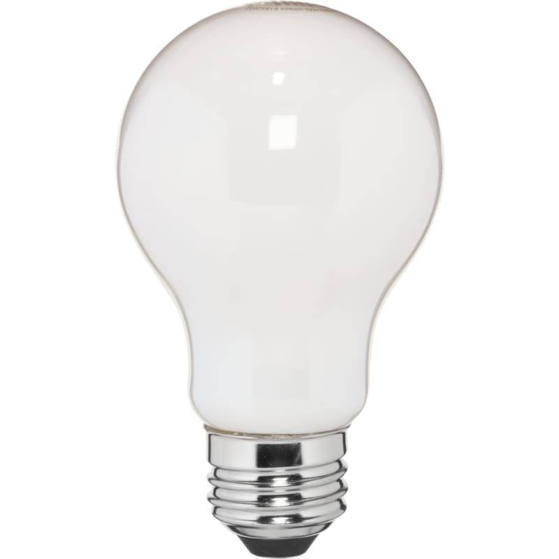 A19 Frosted Bulb Daylight Led 40 W