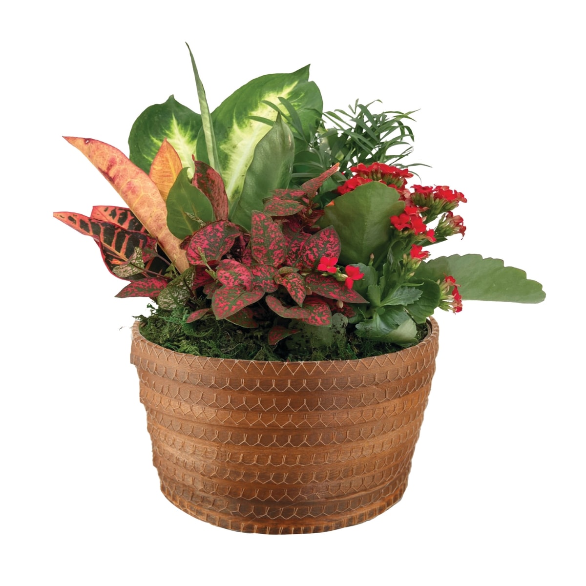 null Jardinière d'automne florale 1 ea, 40,00 $/1ch
