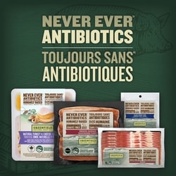 Greenfield Natural Meat Natural Ham Cheese Lunch Kit 81 g