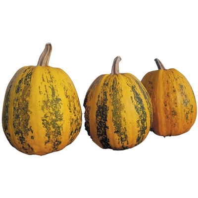 null Pumpkin Mix Varietal 1 ea, $7.99/1ea
