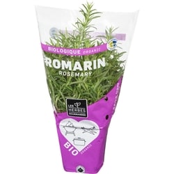Rosemary Organic - 1 ea | Zehrs