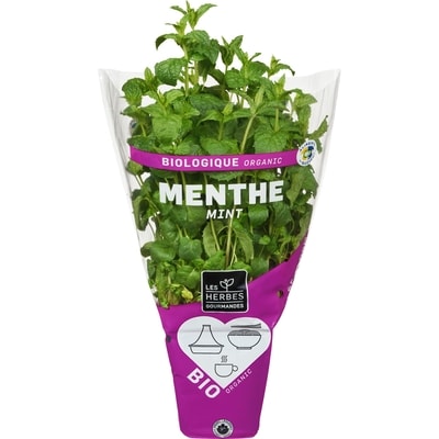 null Menthe Biologique 1 ea, 5,99 $/1ch