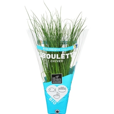 null Ciboulette Biologique 1 ea, 5,99 $/1ch