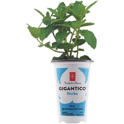 President's Choice Gigantico Herbs 1 ea, $5.50/1ea