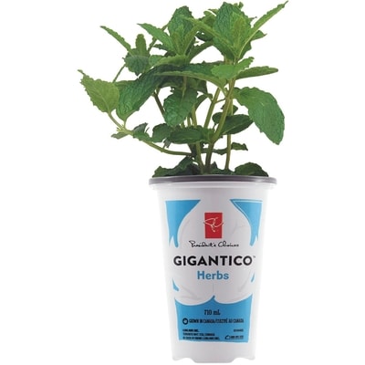President's Choice Gigantico Herbs 1 ea, $5.50/1ea