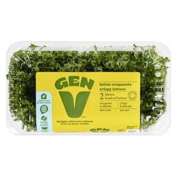 lettuce Gen V Frisee Lettuce 2-pack - 200 g | Atlantic Superstore