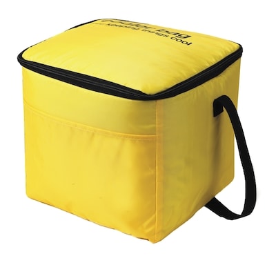 No Name Cooler Bag 1 ea, $10.00/1ea