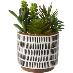Life at Home Arrangement de plantes succulentes artificielles dans un pot en céramique bicolore, brun et blanc, 7,08 po (18 cm) 1 ea, 10,50 $/1ch