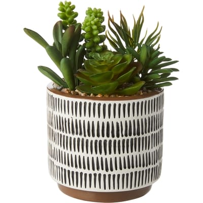 Life at Home Arrangement de plantes succulentes artificielles dans un pot en céramique bicolore, brun et blanc, 7,08 po (18 cm) 1 ea, 10,50 $/1ch