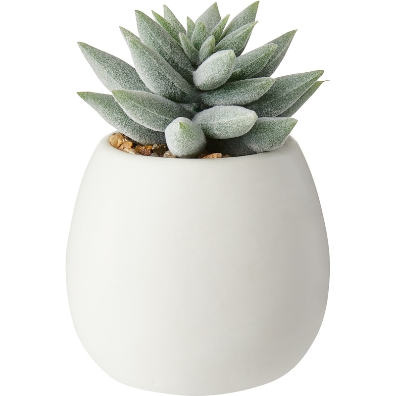 Faux Mini Succulent