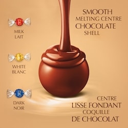 Lindt LINDOR Assorted Chocolate Truffles Bag - 240 g | Dominion