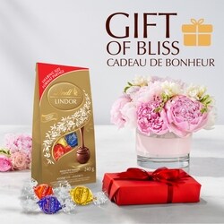 LINDORES　2本セット Lindt LINDOR Assorted Chocolate Truffles Bag - 240 g | Dominion