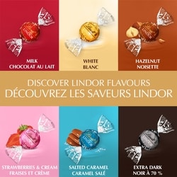 Lindt LINDOR Assorted Chocolate Truffles Bag - 240 g | Dominion