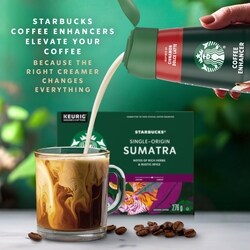 Starbucks Cinnamon Dolce Latte Liquid Coffee Enhancer - 828 ml