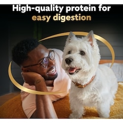 Cesar Classic Loaf In Sauce Adult Wet Dog Food Poultry Selects