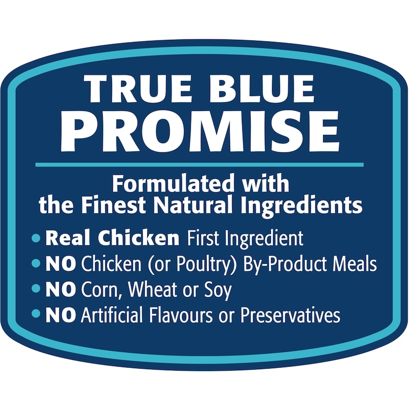 Homestyle Recipe Chicken