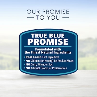 Life Protection Formula Adult Dry Dog Food, Chicken and Brown Rice