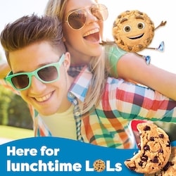 Christie CHIPS AHOY! Original Chocolate Chip Cookies, Resealable
