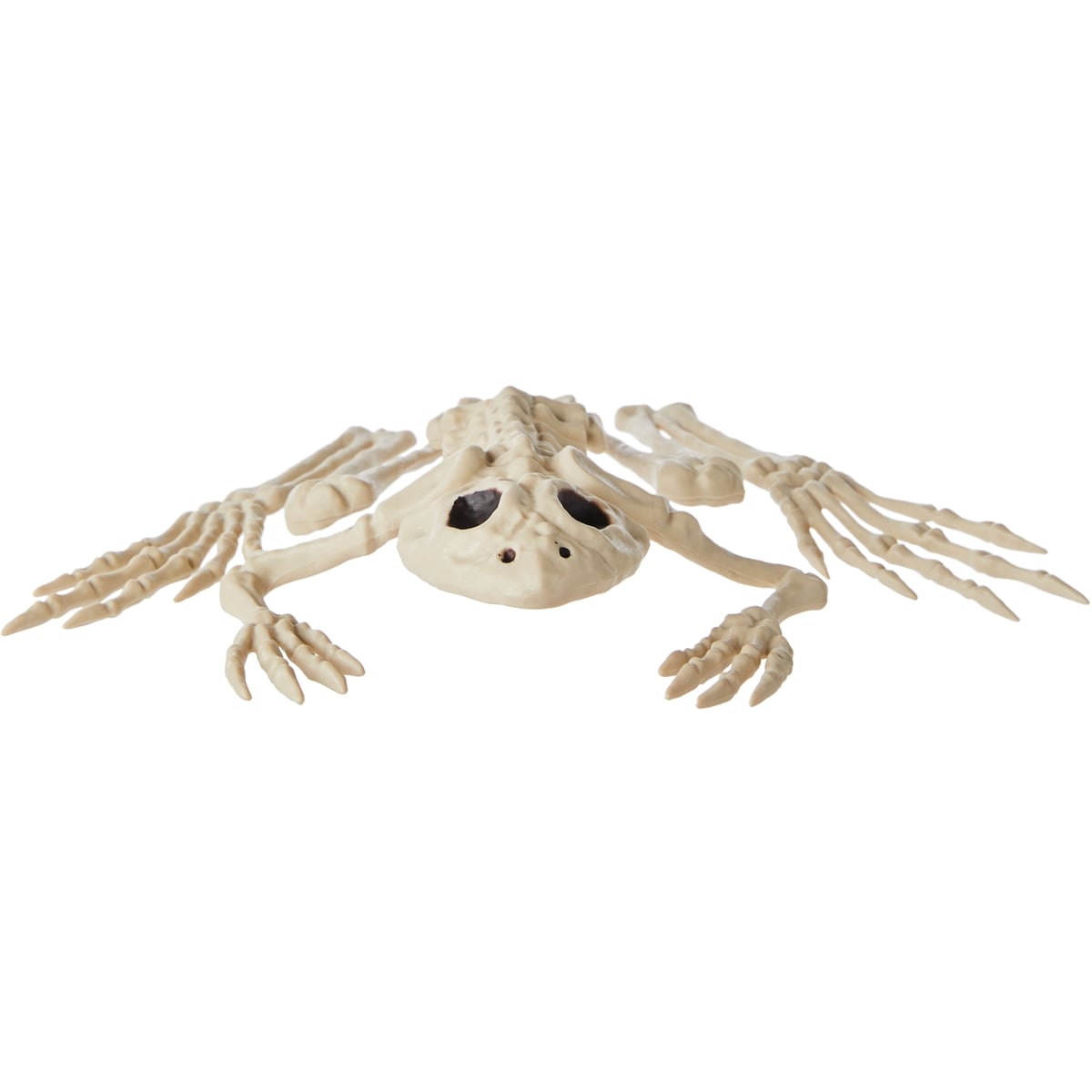 null Squelette de grenouille 1 ea, 3,00 $/1ch