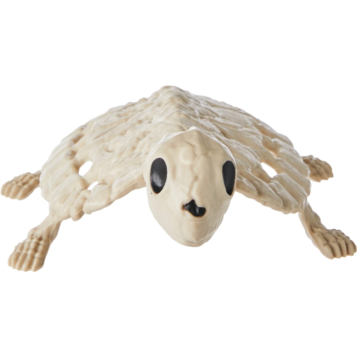 null Squelette de tortue 1 ea, 3,00 $/1ch