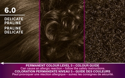 Keratin Color Permanent Hair Color Cream, 6.0 Delicate Praline