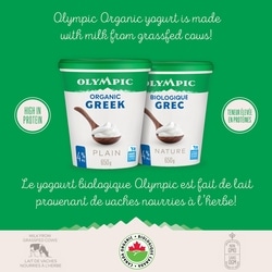 Olympic Organic Greek Plain Yogurt 4% - 650 g | Zehrs