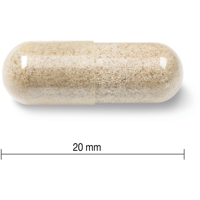 Gentle Iron 28 mg Value