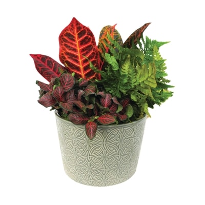 null Medium Garden 1 ea, $24.00/1ea