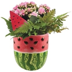 null Jardinière fantaisie 1 ea, 24,00 $/1ch