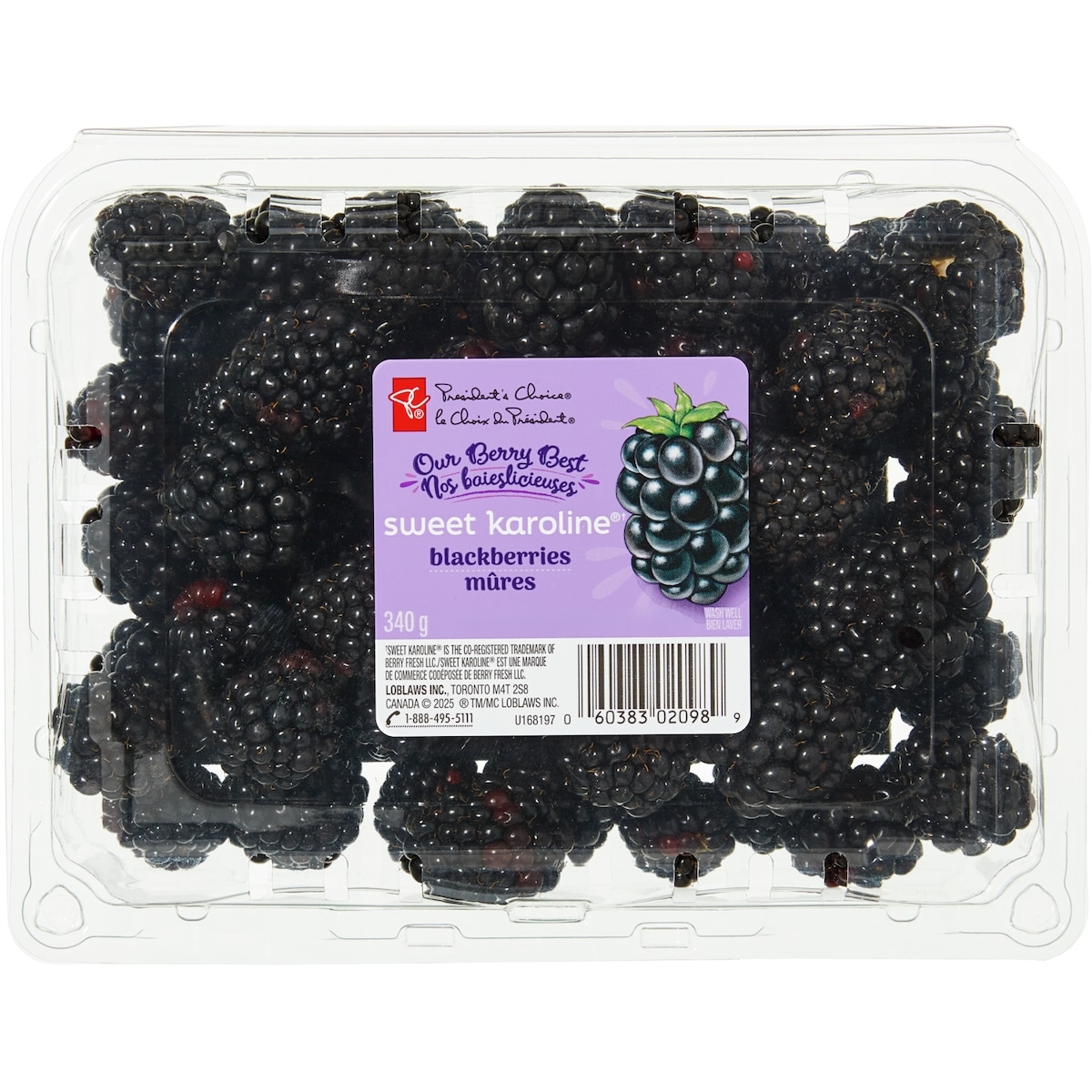 President's Choice Sweet Karoline® Blackberries