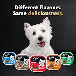 Cesar Classic Loaf In Sauce Adult Wet Dog Food Delicacies Variety