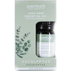 Essential Oil Eucalyptus
