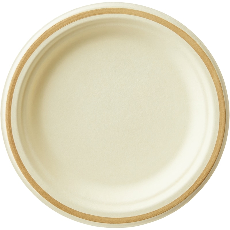 Paper Dessert Plates Club Size  