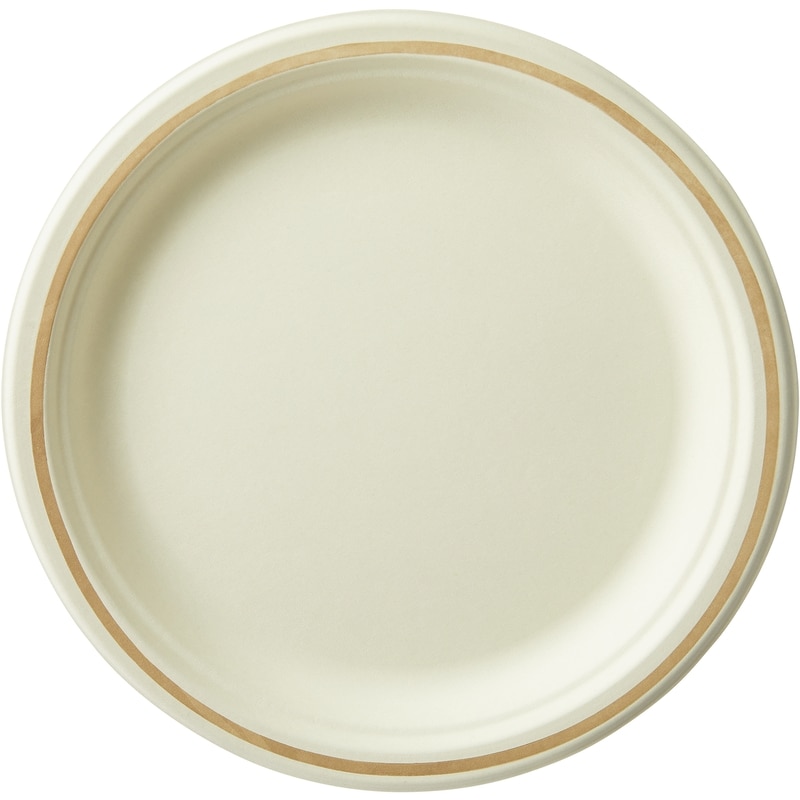 Paper Dinner Plates Club Size  