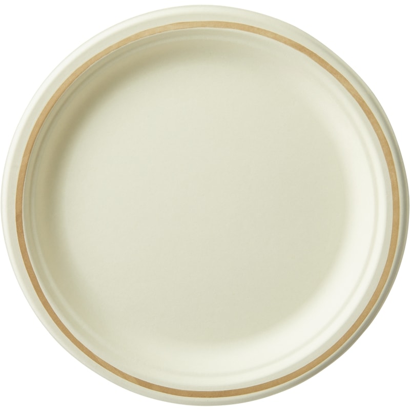 Paper Dinner Plates Club Size  