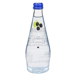 Clearly Canadian Boisson d'eau pétillante mûre de montagne 325 ml, 0,92 $/100ml