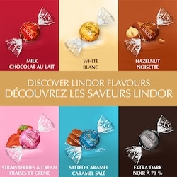 Lindt LINDOR Assorted Chocolate Truffles Bag - 150 g | Zehrs