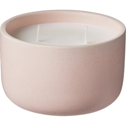 Life at Home Bougie parfumée – Rose et lierre 1 ea, 7,00 $/1ch