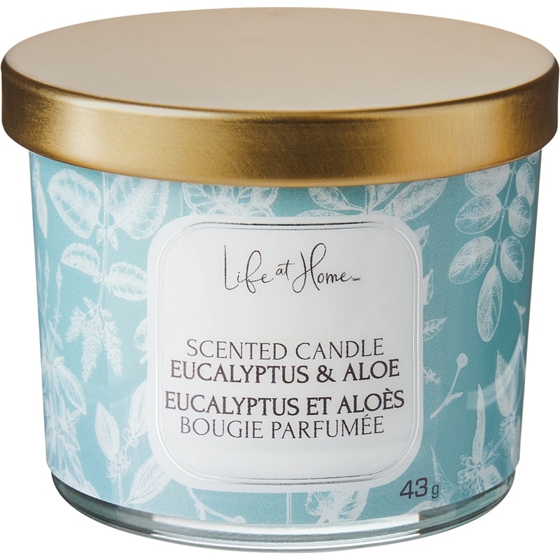 Scented Candle Eucalyptus & Aloe