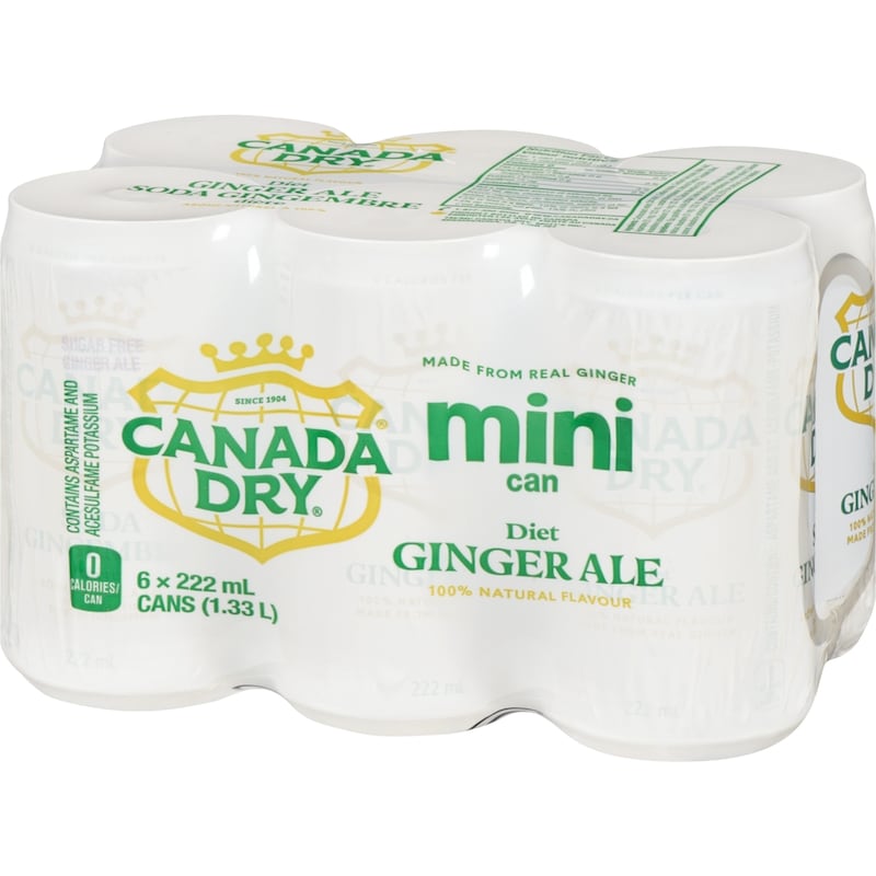 Diet Ginger Ale Mini Can