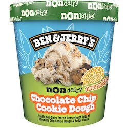 Ben & Jerry's Non-Dairy Chocolate Chip Cookie Dough Frozen Dessert