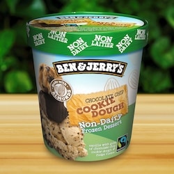 Ben & Jerry's Non-Dairy Chocolate Chip Cookie Dough Frozen Dessert