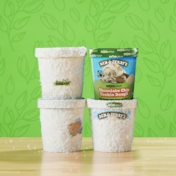Ben & Jerry's Non-Dairy Chocolate Chip Cookie Dough Frozen Dessert