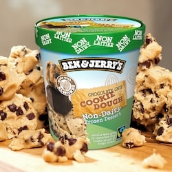 Ben & Jerry's Non-Dairy Chocolate Chip Cookie Dough Frozen Dessert