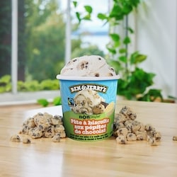 Ben & Jerry's Non-Dairy Chocolate Chip Cookie Dough Frozen Dessert
